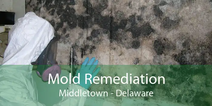 Mold Remediation Middletown - Delaware