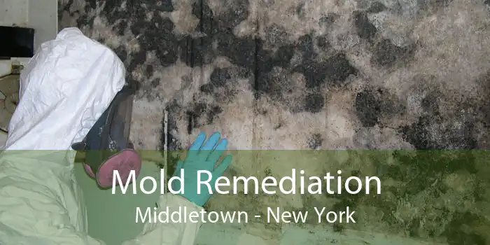 Mold Remediation Middletown - New York