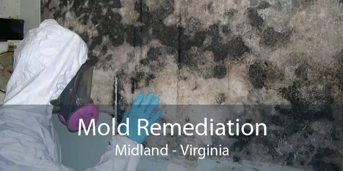 Mold Remediation Midland - Virginia