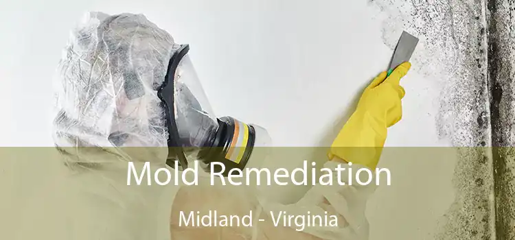 Mold Remediation Midland - Virginia