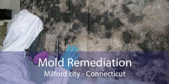 Mold Remediation Milford city - Connecticut