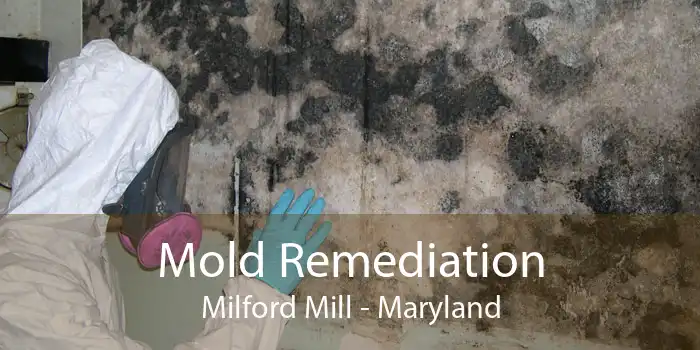 Mold Remediation Milford Mill - Maryland