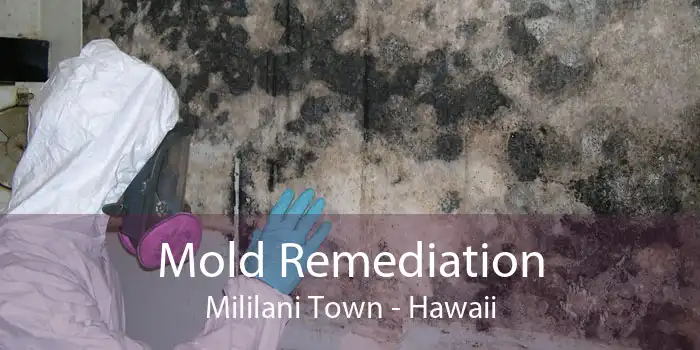 Mold Remediation Mililani Town - Hawaii