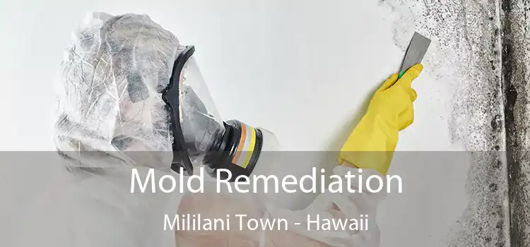 Mold Remediation Mililani Town - Hawaii