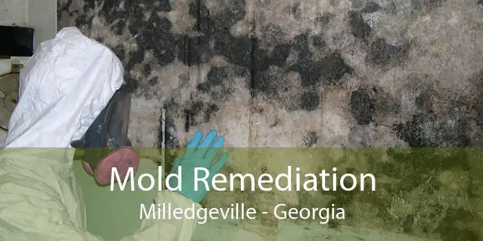 Mold Remediation Milledgeville - Georgia