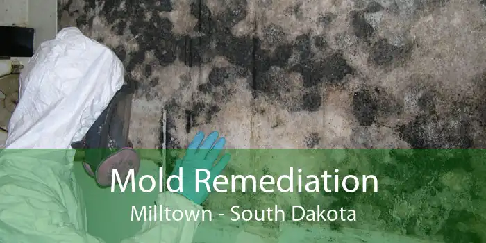 Mold Remediation Milltown - South Dakota