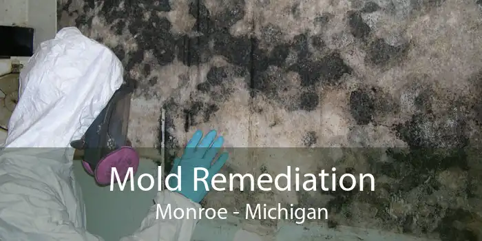 Mold Remediation Monroe - Michigan