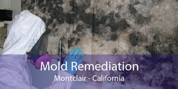 Mold Remediation Montclair - California