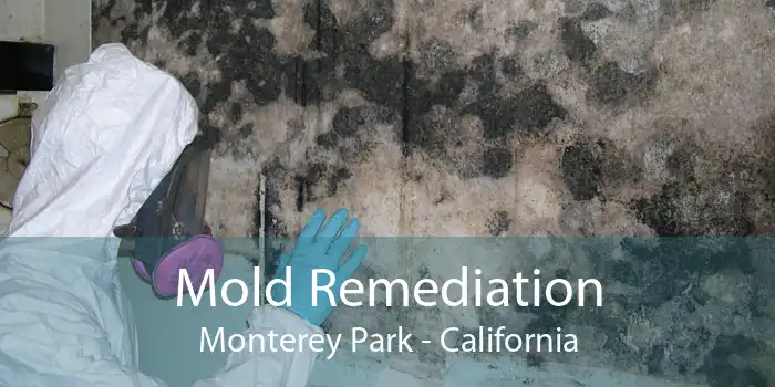 Mold Remediation Monterey Park - California