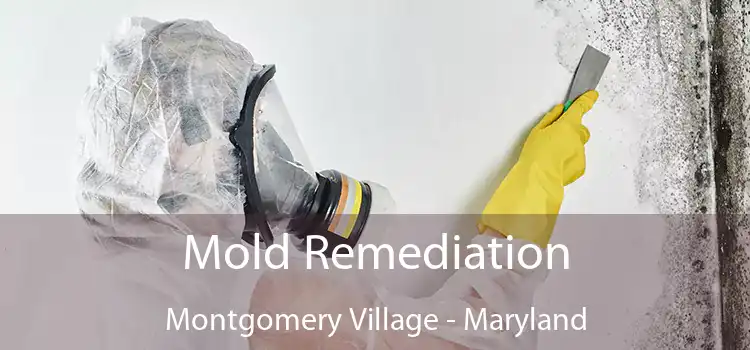 Mold Remediation Montgomery Village - Maryland