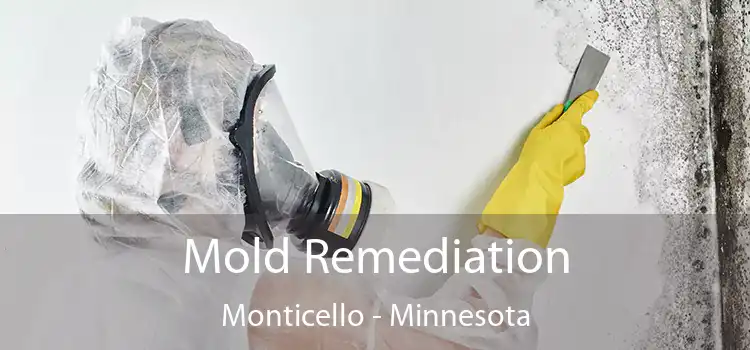 Mold Remediation Monticello - Minnesota