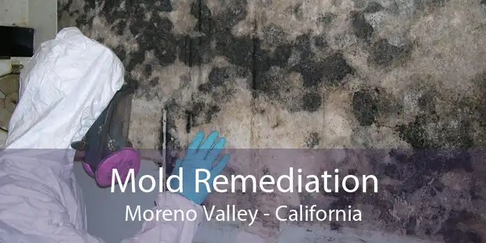 Mold Remediation Moreno Valley - California