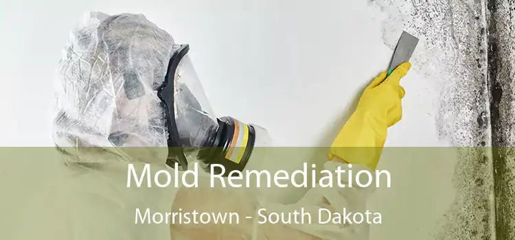 Mold Remediation Morristown - South Dakota