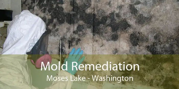 Mold Remediation Moses Lake - Washington