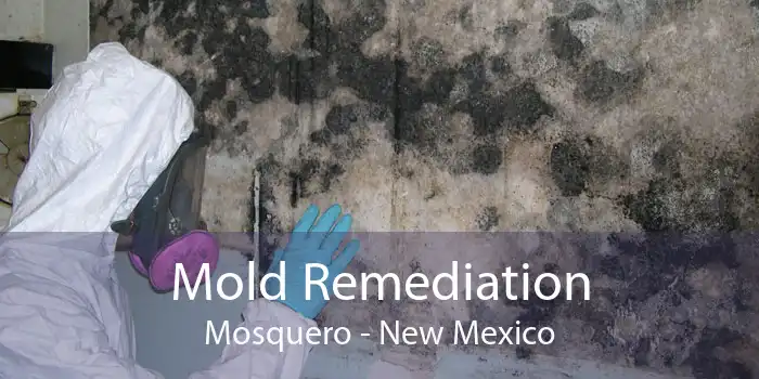 Mold Remediation Mosquero - New Mexico