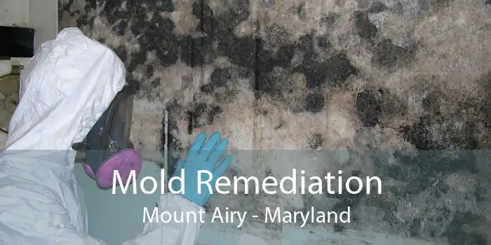 Mold Remediation Mount Airy - Maryland