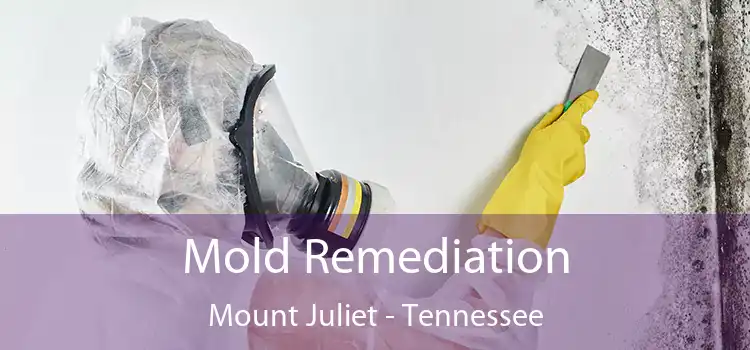 Mold Remediation Mount Juliet - Tennessee