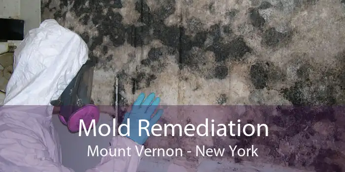 Mold Remediation Mount Vernon - New York