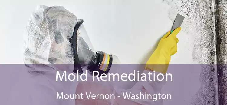 Mold Remediation Mount Vernon - Washington