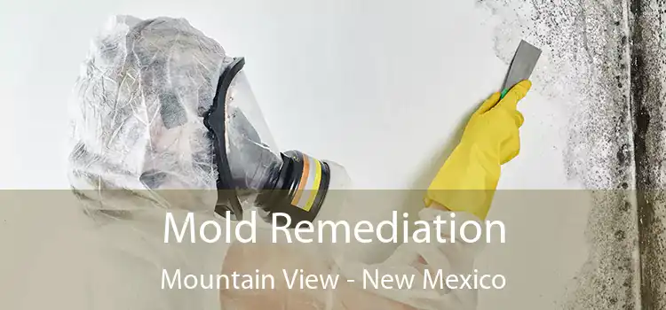 Mold Remediation Mountain View - New Mexico