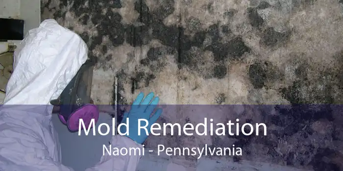 Mold Remediation Naomi - Pennsylvania