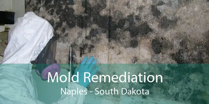 Mold Remediation Naples - South Dakota