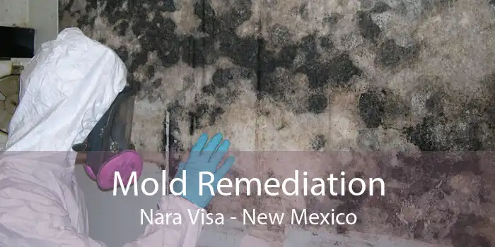 Mold Remediation Nara Visa - New Mexico