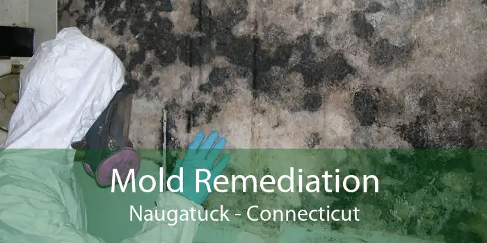 Mold Remediation Naugatuck - Connecticut