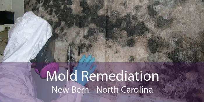 Mold Remediation New Bern - North Carolina