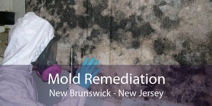 Mold Remediation New Brunswick - New Jersey