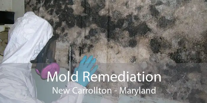 Mold Remediation New Carrollton - Maryland