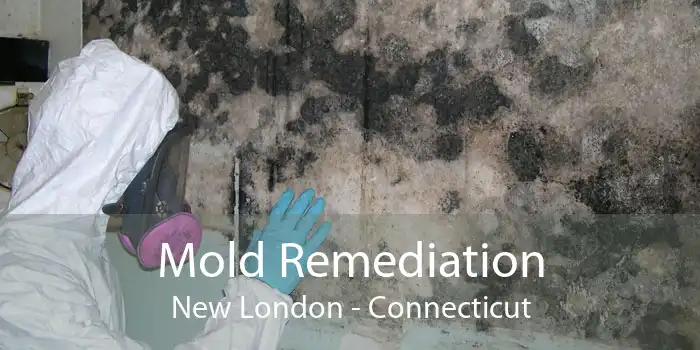 Mold Remediation New London - Connecticut