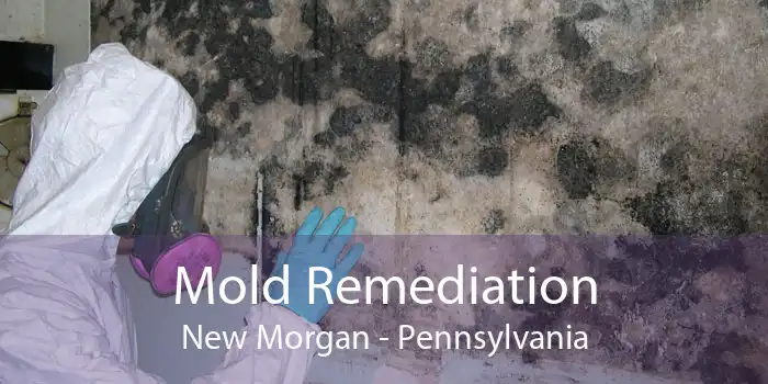 Mold Remediation New Morgan - Pennsylvania