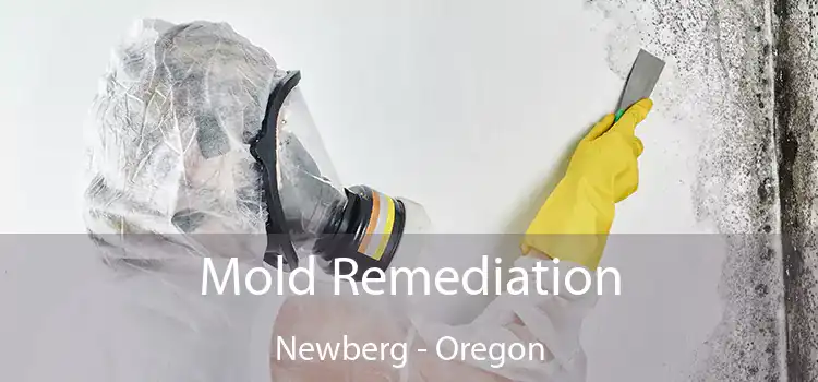 Mold Remediation Newberg - Oregon