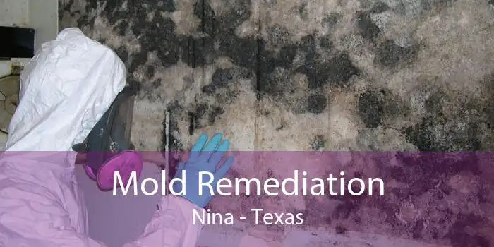 Mold Remediation Nina - Texas