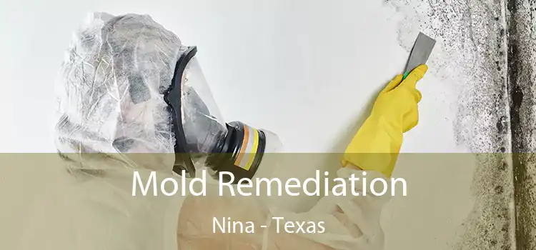 Mold Remediation Nina - Texas