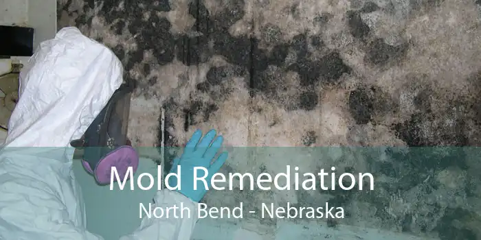 Mold Remediation North Bend - Nebraska