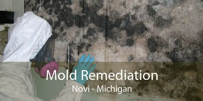 Mold Remediation Novi - Michigan
