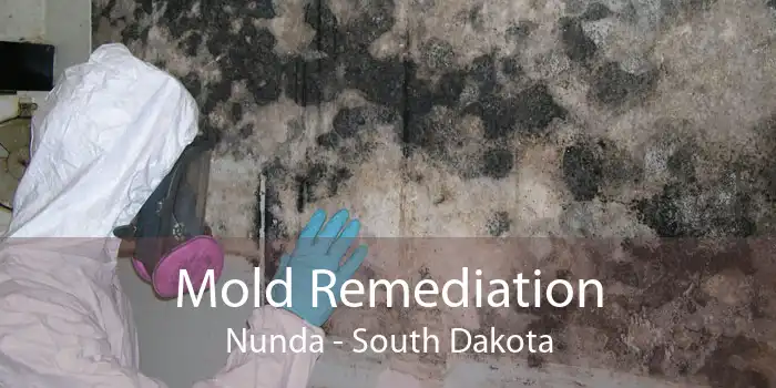 Mold Remediation Nunda - South Dakota
