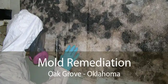 Mold Remediation Oak Grove - Oklahoma