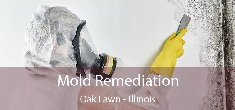 Mold Remediation Oak Lawn - Illinois