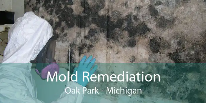 Mold Remediation Oak Park - Michigan