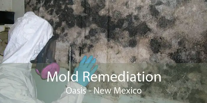 Mold Remediation Oasis - New Mexico