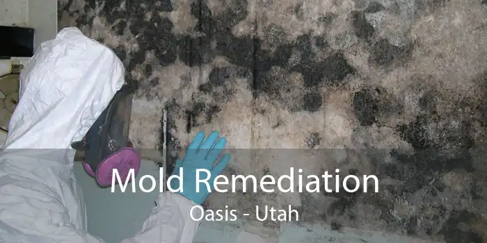 Mold Remediation Oasis - Utah