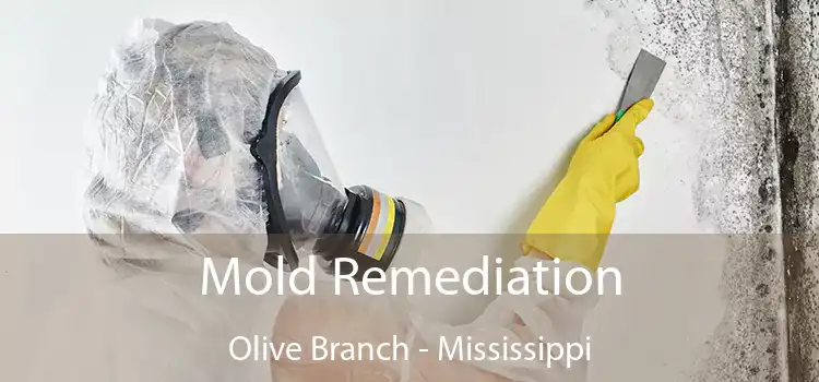 Mold Remediation Olive Branch - Mississippi