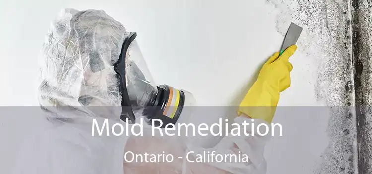 Mold Remediation Ontario - California