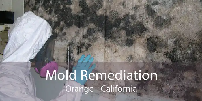 Mold Remediation Orange - California