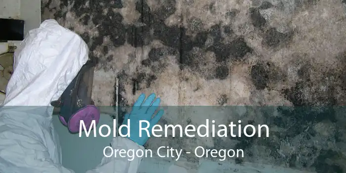 Mold Remediation Oregon City - Oregon