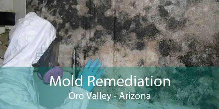 Mold Remediation Oro Valley - Arizona