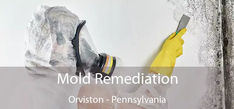 Mold Remediation Orviston - Pennsylvania